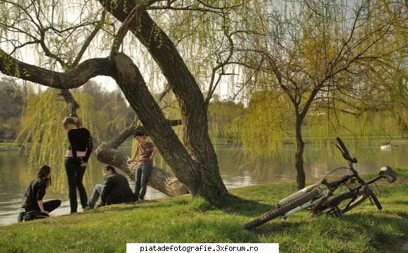 Fara griji - radu - Foto-comment