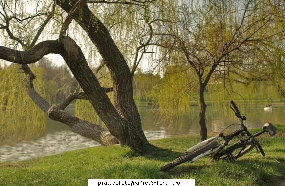 Fara griji - vrei sa spui ceva de genul asta, fara pustii aia - Foto-comment