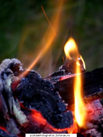 Fire!!! - Ms. pentru comm., chiar le-am simtit lipsa :) A - Foto-comment