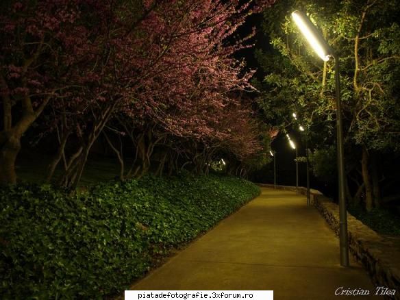 Fotografia nocturna - Buna. Am si eu cateva fotografii nocturne - Tehnica fotografica