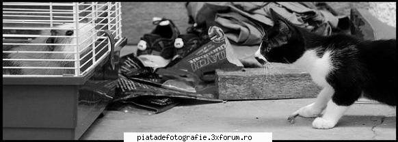 Fotografii amuzante - has - Off topic