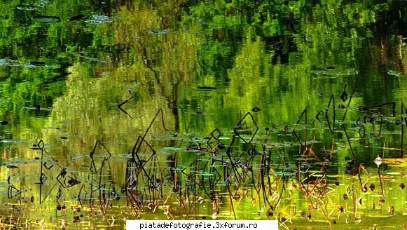 Green - Verde de... Snagov :) - Foto-comment