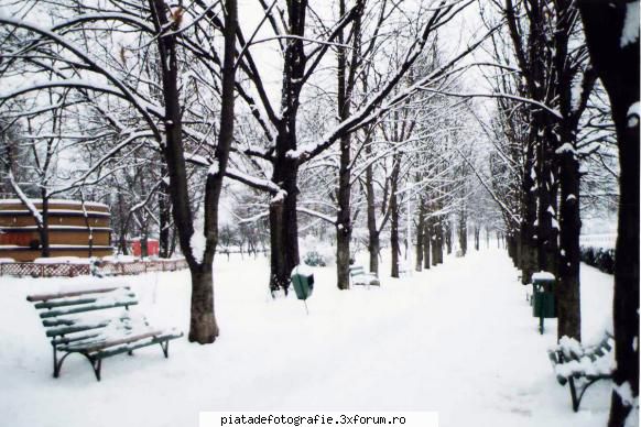 Iarna pe ulita - In bucuresti in Parcul Tineretului aparat foto - Foto-comment
