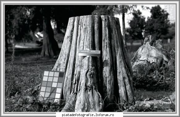 Imagini de inalta rezolutie - 334 duplicat - fotografie realizata pe film - Foto-tehnica experimentala