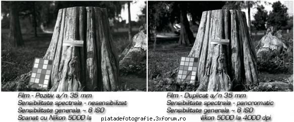 Imagini de inalta rezolutie - Filmul acesta se numeste duplicat a/n si este - Foto-tehnica experimentala