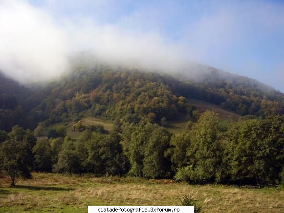 In Apuseni - jak59 - Foto-comment