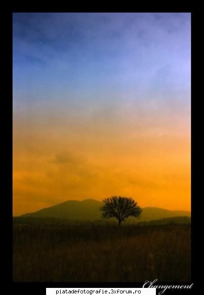 In mijlocul naturii - danieltomiuc - Foto-comment