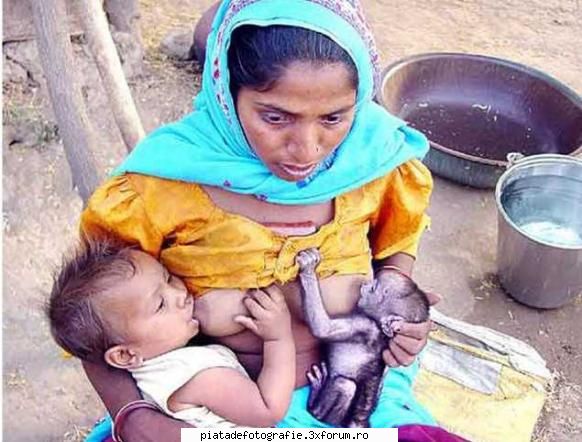 Instantanee impresionante - Poza a aparut intr-un cotidian din India, cu - Off topic