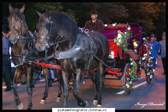 La galop prin Bucuresti - Facuta la zilele Bucurestiului - Foto-comment