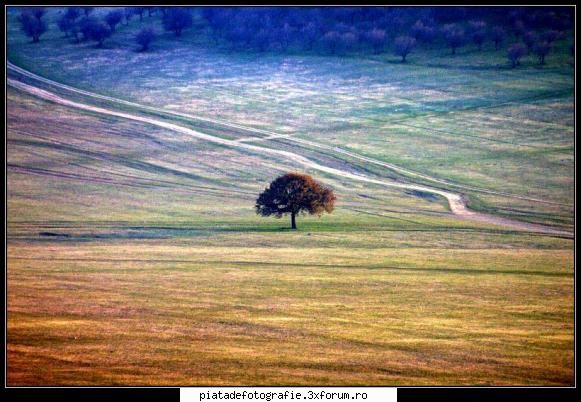 La poalele Macinului - vad ca v-ati "orientat" pe sesul dintre greci si - Foto-comment
