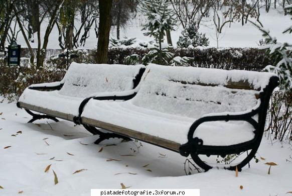 Luati loc - Facuta intr-un parc mic din Pantelimon - Foto-comment
