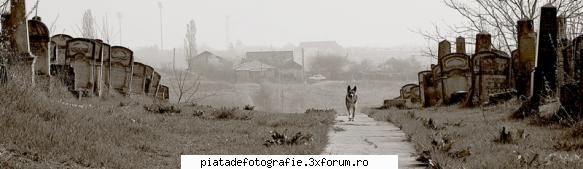 Lumi paralele - LAVANA - Foto +
