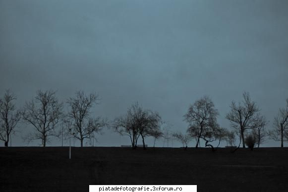 Parc - prin Tineretului - Foto-comment