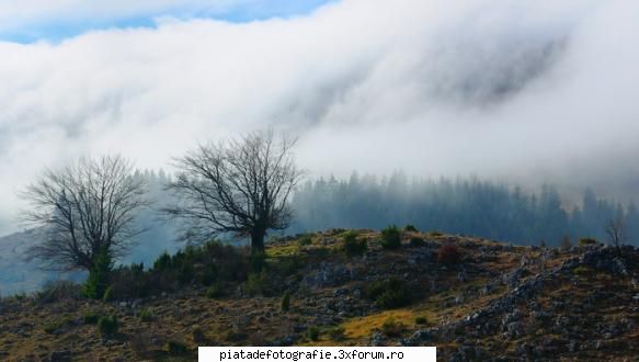 Peisaj de munte - astebanis - Foto-comment