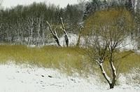 Peisaje - Multumesc,pentru comentarii - Foto-comment