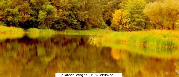 Peisaje - Infuzie de galben - Foto-comment