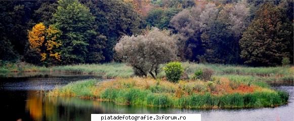 Peisaje - Pastel concentric - Foto-comment