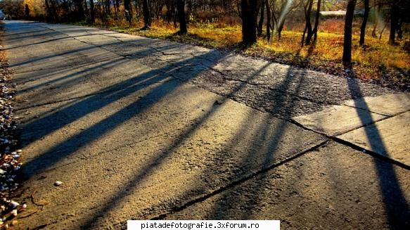 Peisaje - LAVANA - Foto-comment