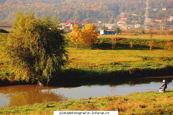 Peisaje - LAVANA - Foto-comment
