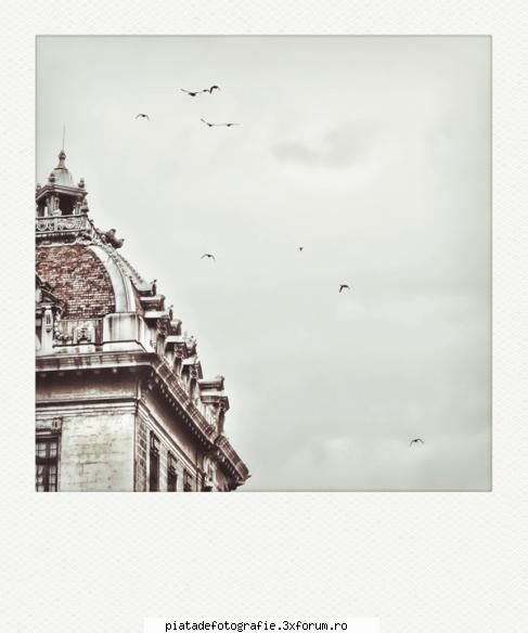 Personal - Catrinel - Foto-comment