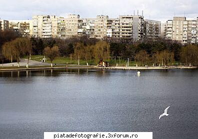 Pescarus - un cadru prea larg pentru pescarus ca subiect! - Foto-comment