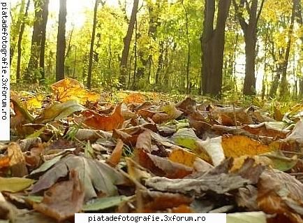 Poarta naturii - amic_maria bun venit pe forum, sper sa inveti cat - Foto-comment