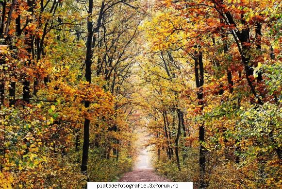 Poarta naturii - Intrare in natura - Foto-comment