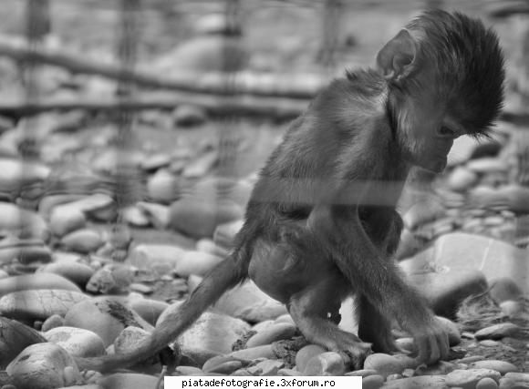 Prisoner in people's world - 3. "Vinovat fara vina" - Foto-comment