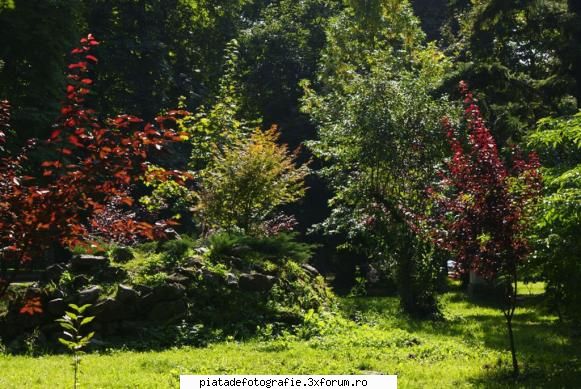 Un colt de natura - delmina - Foto-comment