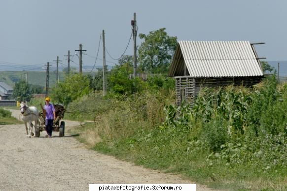 Viata la tara - piatadefotografie - Foto-comment