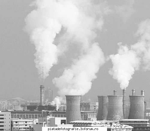 aburi - Eu unul as fi taiat partea de jos care oricum - Foto-comment