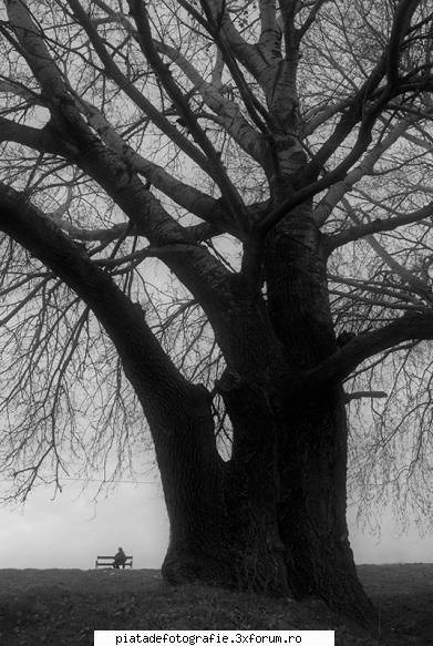 alb negru - ilica_flavius - Foto-comment