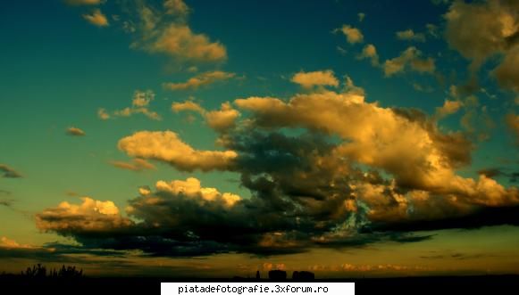 ape - pleata - Foto-comment
