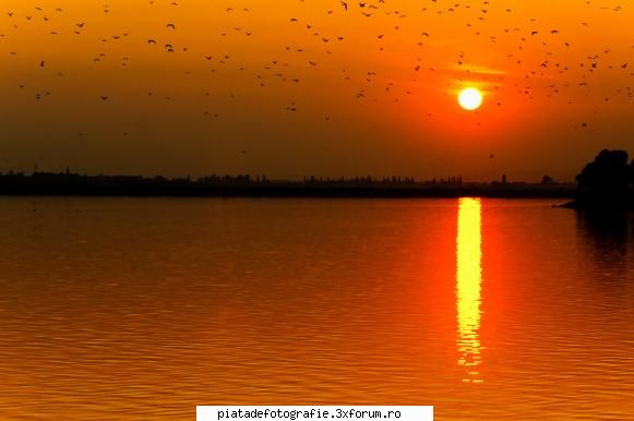 apusuri in Bucuresti - facuta saptamana trecuta pe lacul Morii - Foto-comment