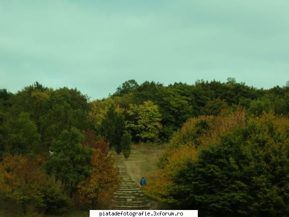 aromele cromatice ale toamnei - toamna in botanica - Foto-comment