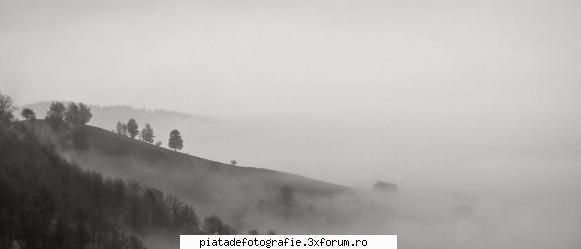 ceata - has - Foto-comment