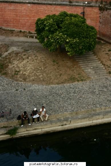 compozitie - un copac....si trei oameni - Foto-comment