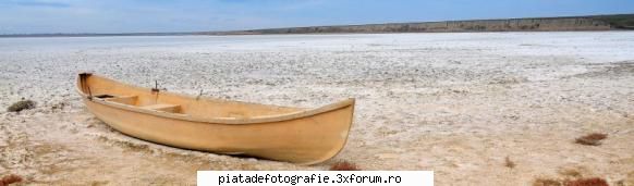 "crop"-ul si incercari de incadrare - Buna replica. Partea cu fotoreportajul este - Prelucrare computerizata