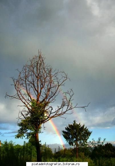 regenbogen curcubeu