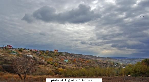 dealuri - LAVANA - Foto-comment