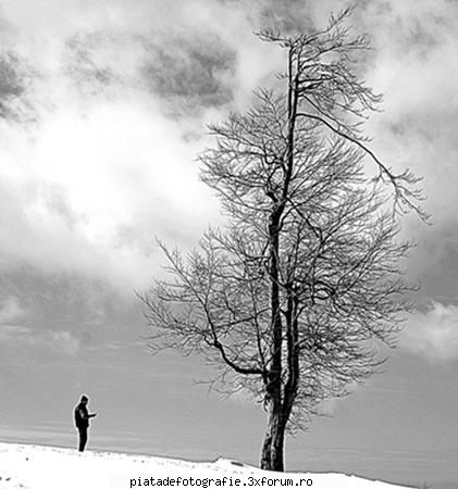 doi prieteni - tamas_vali - Foto-comment