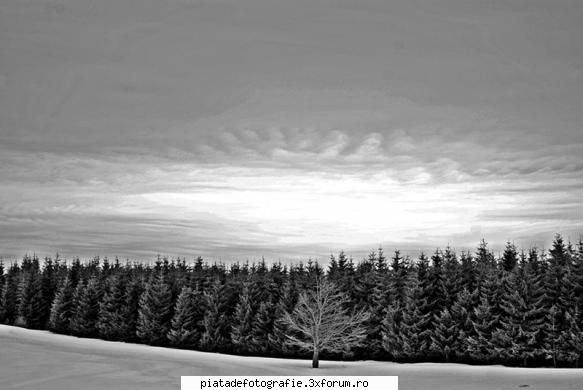 doi prieteni - tamas_vali - Foto-comment