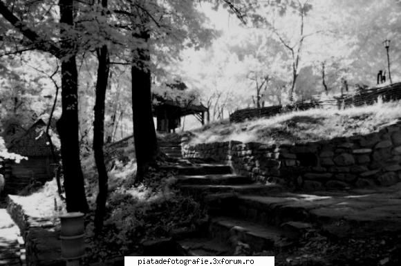 filtru IR - d0y0u - Service foto