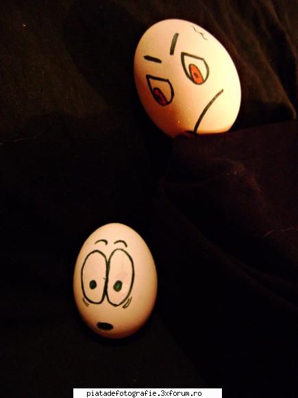 funny eggs - "i hope to not see me" - Foto-comment