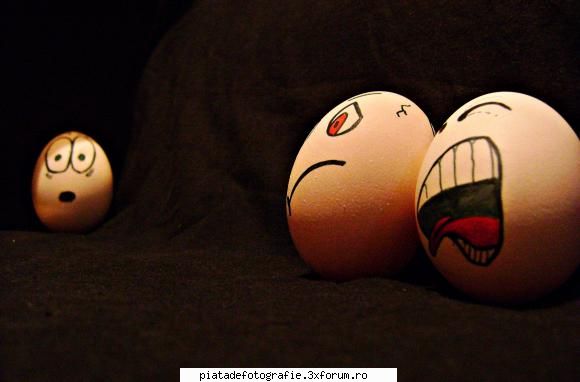 funny eggs - " look at them" - Foto-comment