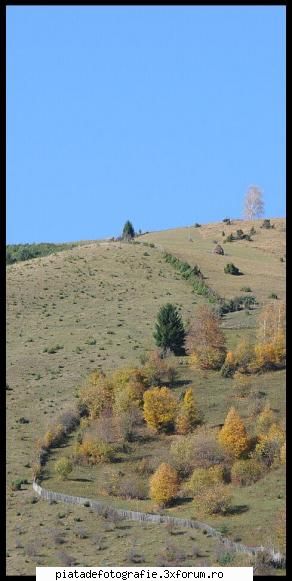 granita - pareri critici sfaturi! - Foto-comment