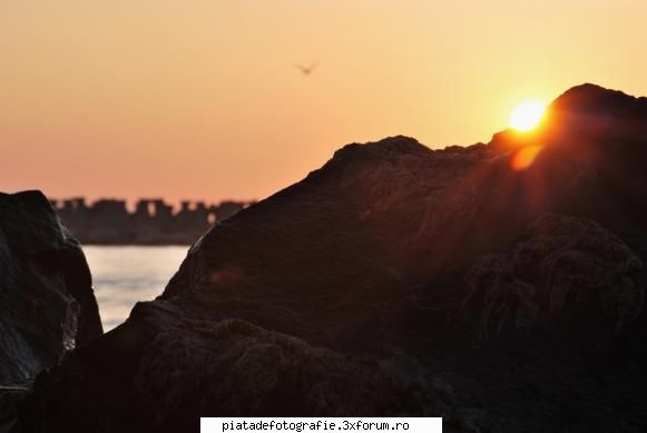 hope - radu - Foto-comment