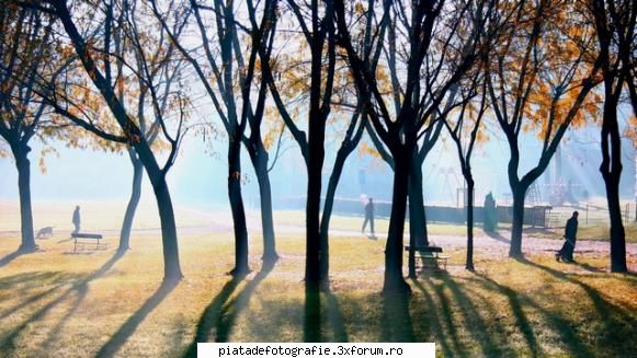 jocuri de umbre - toamna in parcul Mario Carrara din Torino - Foto-comment