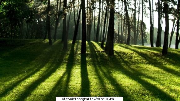 jocuri de umbre - vara in parcul Mario Carrara din Torino - Foto-comment