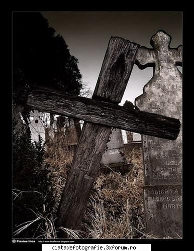 kingdom of heaven - ilica_flavius - Foto-comment